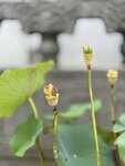 IMG_8786