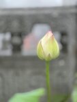 IMG_8787