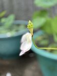 IMG_8800