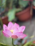 IMG_8808