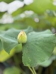 IMG_8810