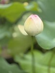 IMG_8812