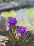 IMG_8814