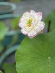IMG_8815