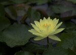 IMG_8831