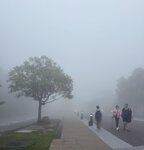 IMG_8835