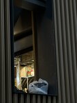 IMG_9141
