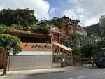 IMG_9579