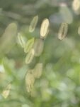 IMG_9640