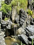 IMG_9852
