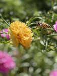 IMG_9856