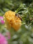 IMG_9861