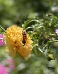 IMG_9863