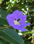 IMG_9870