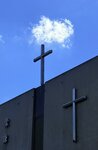 IMG_9871