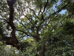 IMG_9877