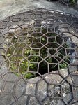 IMG_9880