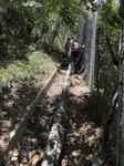 IMG_9910