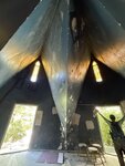 IMG_9925