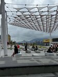 IMG_0066