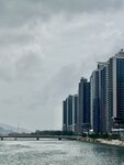 IMG_0113