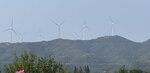 IMG_0431