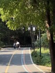 IMG_0437
