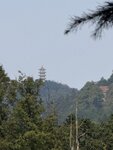 IMG_0441