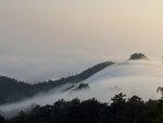 IMG_0517