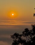 IMG_0522