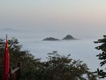 IMG_0524