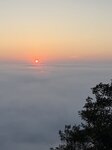 IMG_0533