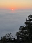 IMG_0534