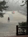 IMG_0549