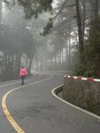 IMG_0555