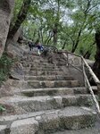 IMG_0589