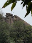 IMG_0592
