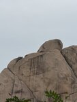 IMG_0593