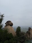 IMG_0627