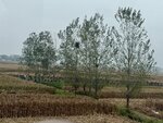 IMG_0646