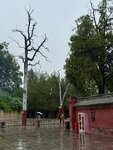 IMG_0687