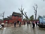 IMG_0688