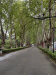 IMG_0718