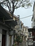 IMG_0734