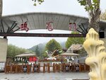 IMG_1011