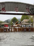 IMG_1013