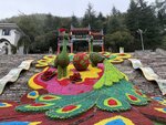 IMG_1014