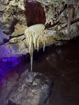 IMG_1037