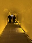 IMG_1043