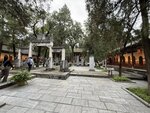 IMG_1082